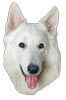 ASSKO Sicherheitstechnik Logo – Hundekopf